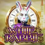 Prediksi Slot Gacor White Rabbit – 22 Juli 2022